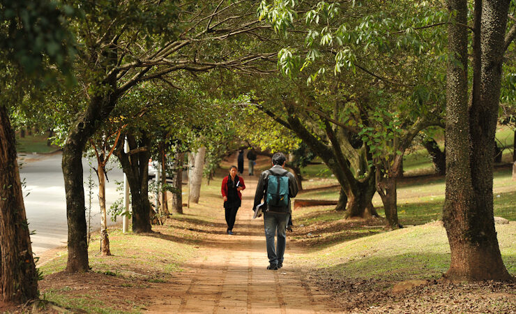 Pessoas caminhndo no campus da USP sob a copa das árvores