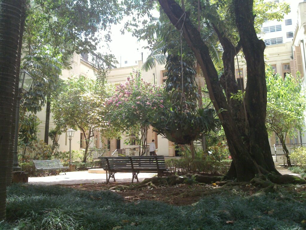 Casa da fau maranhão entre as árvores